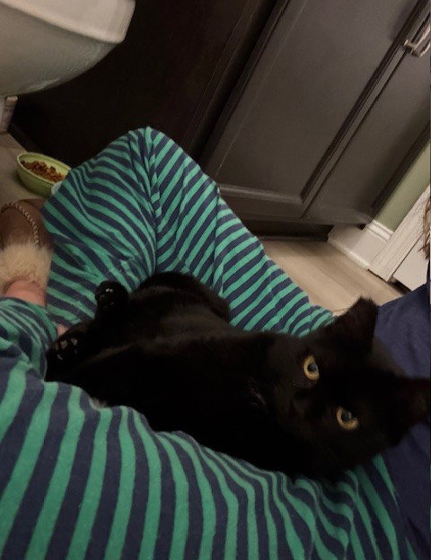 Mowgli