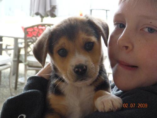Louie