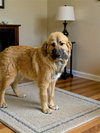 Goldilocks