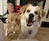 Winston