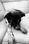 Benny