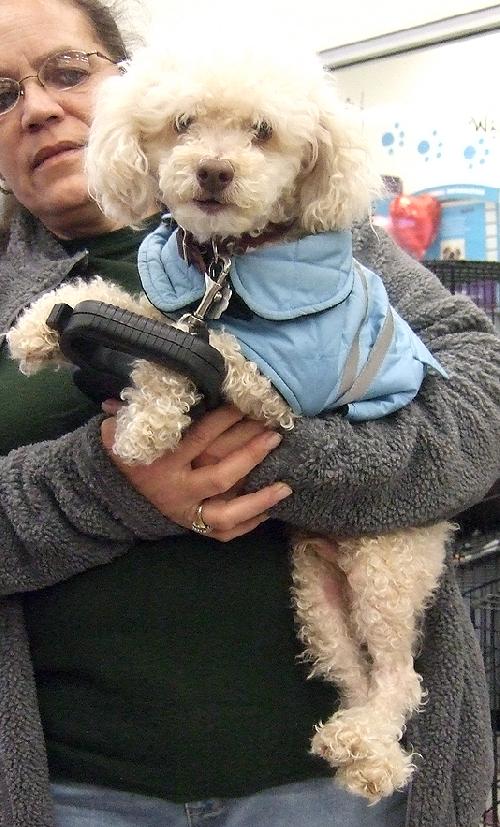 Toby