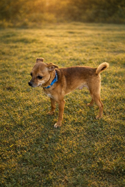 Abner