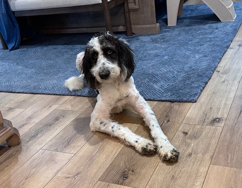 Maggie
