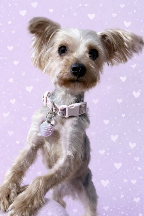 Lola