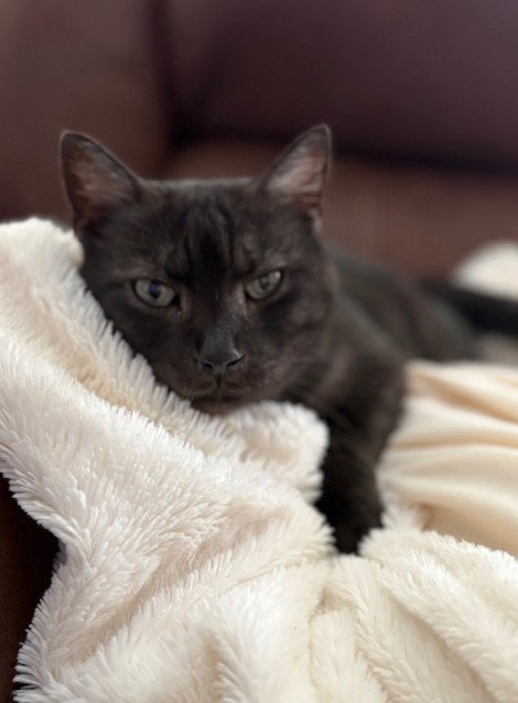 Salem Image