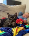 Salem