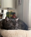 Salem