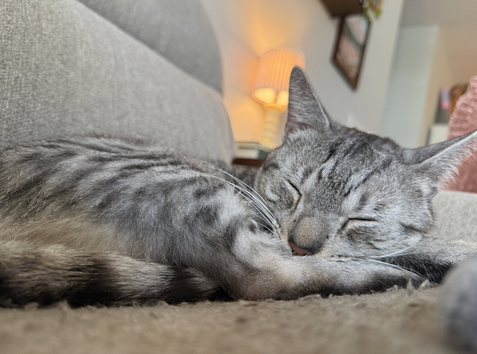 Angel, photo 3