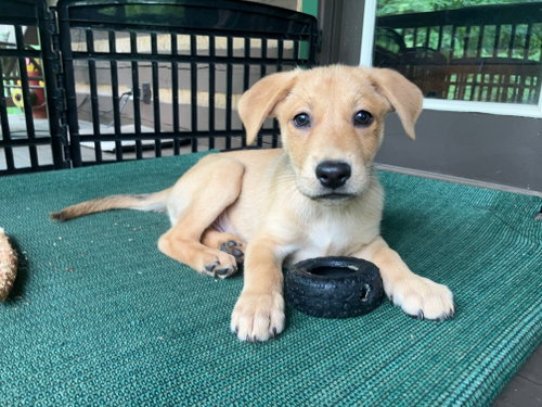 Jackson(m)