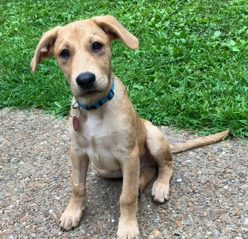 Jackson(m)
