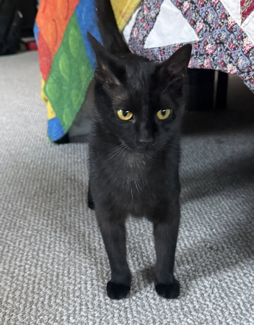 Onyx