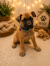Luigi - Photo 2