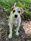 Kit Kat(f) - Photo 3