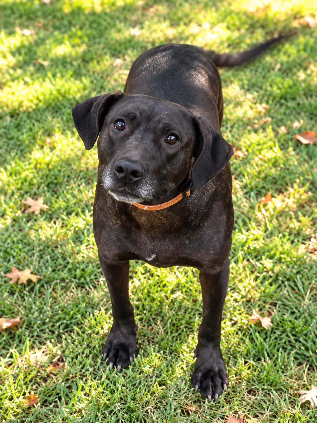Molly image 3