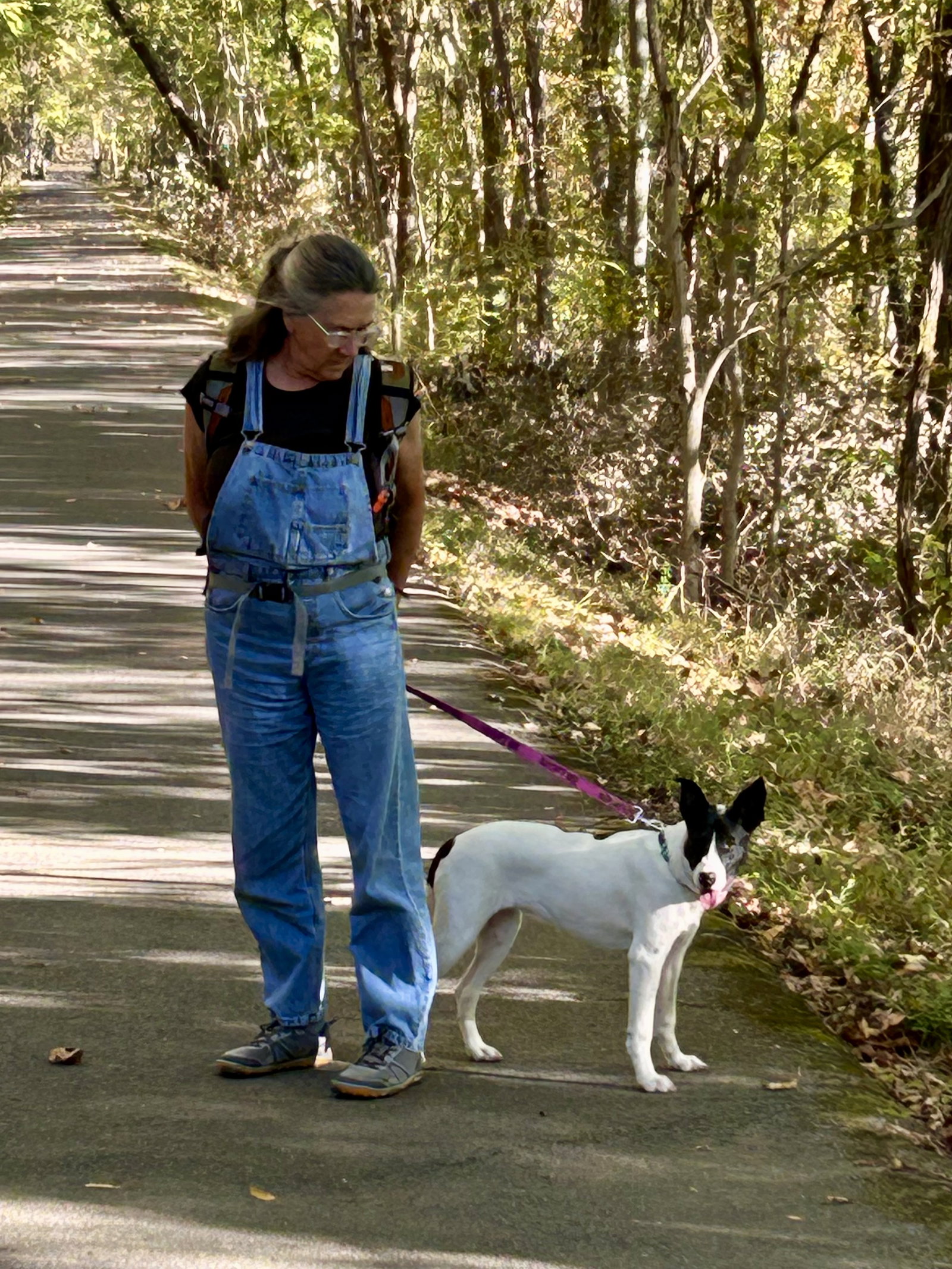 Pippa, photo 5