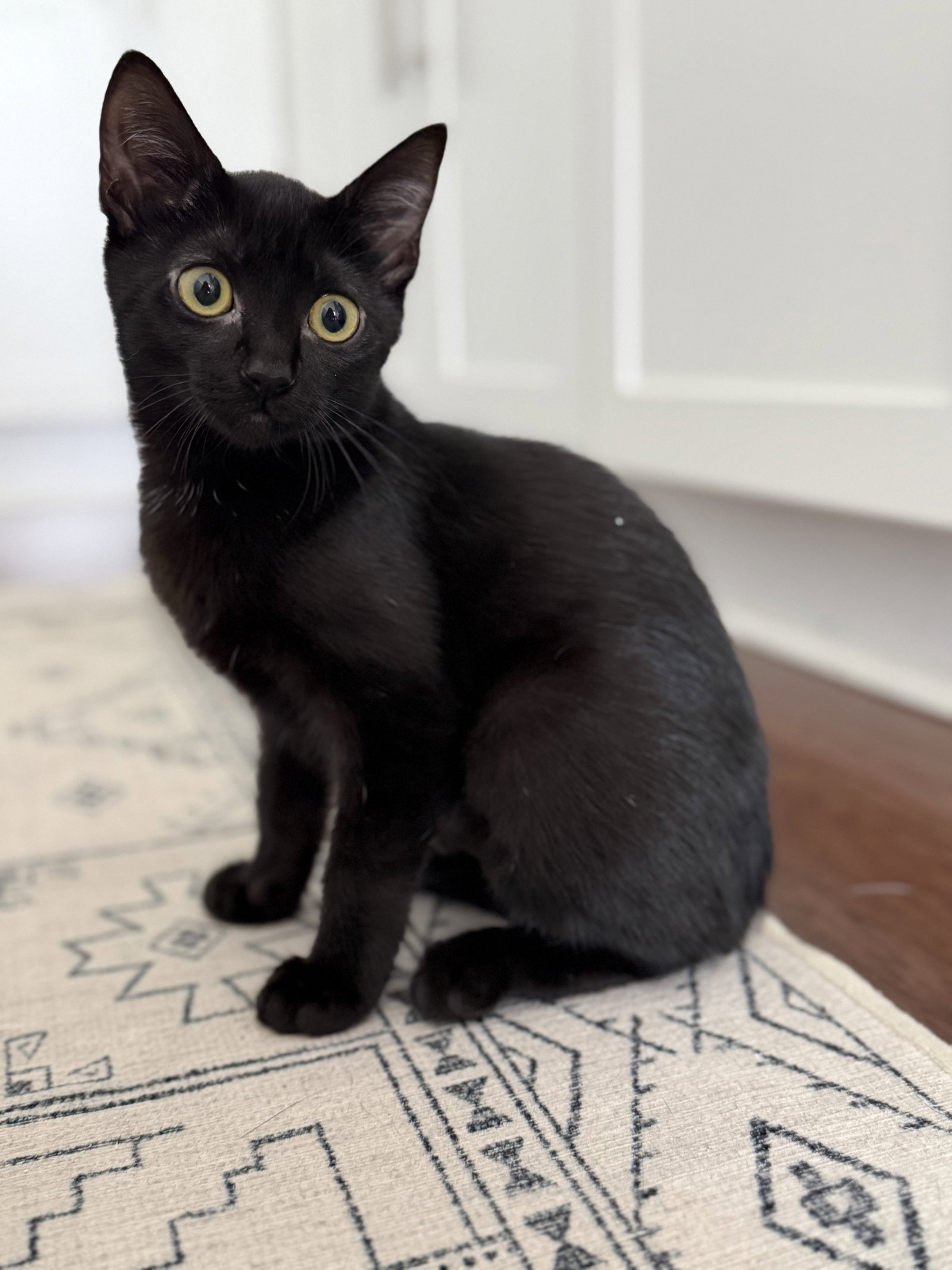 Princess Donut, photo 8