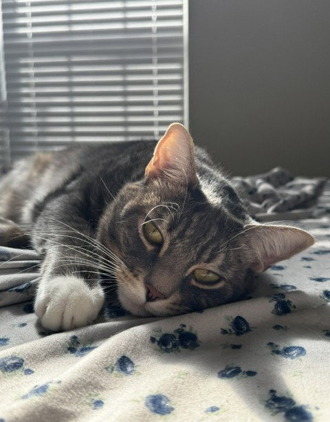 Lucky, photo 8