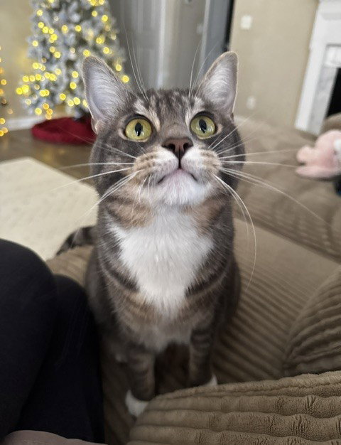 Lucky, photo 4