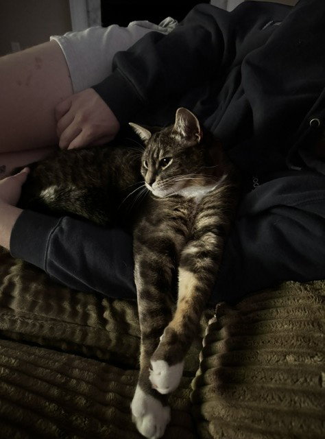 Lucky, photo 5
