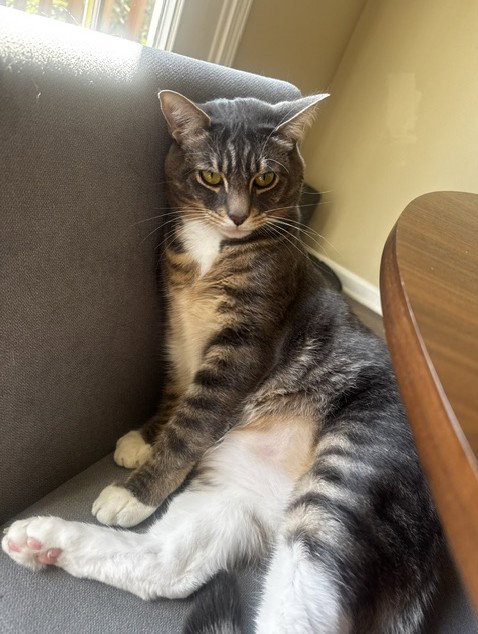 Photo 6 of Lucky