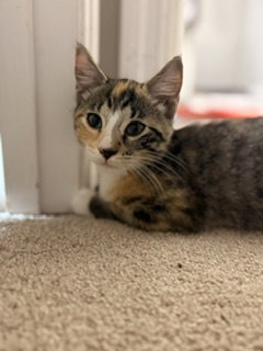 Photo 3 of Sundae
