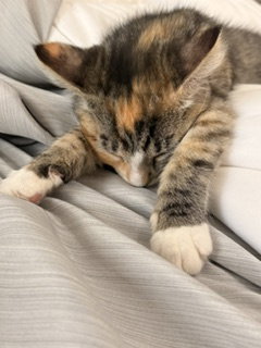Photo 6 of Sundae