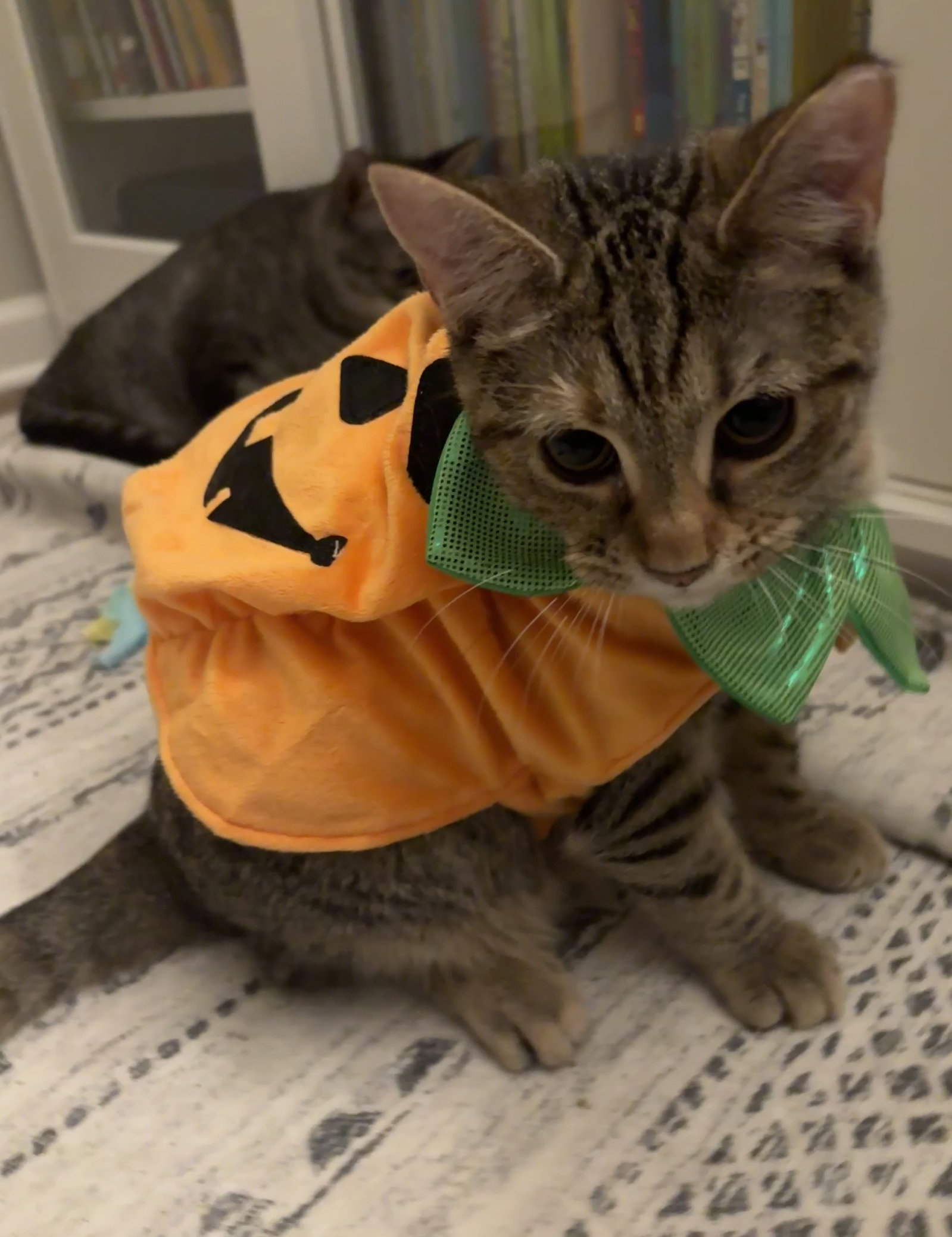 Arby