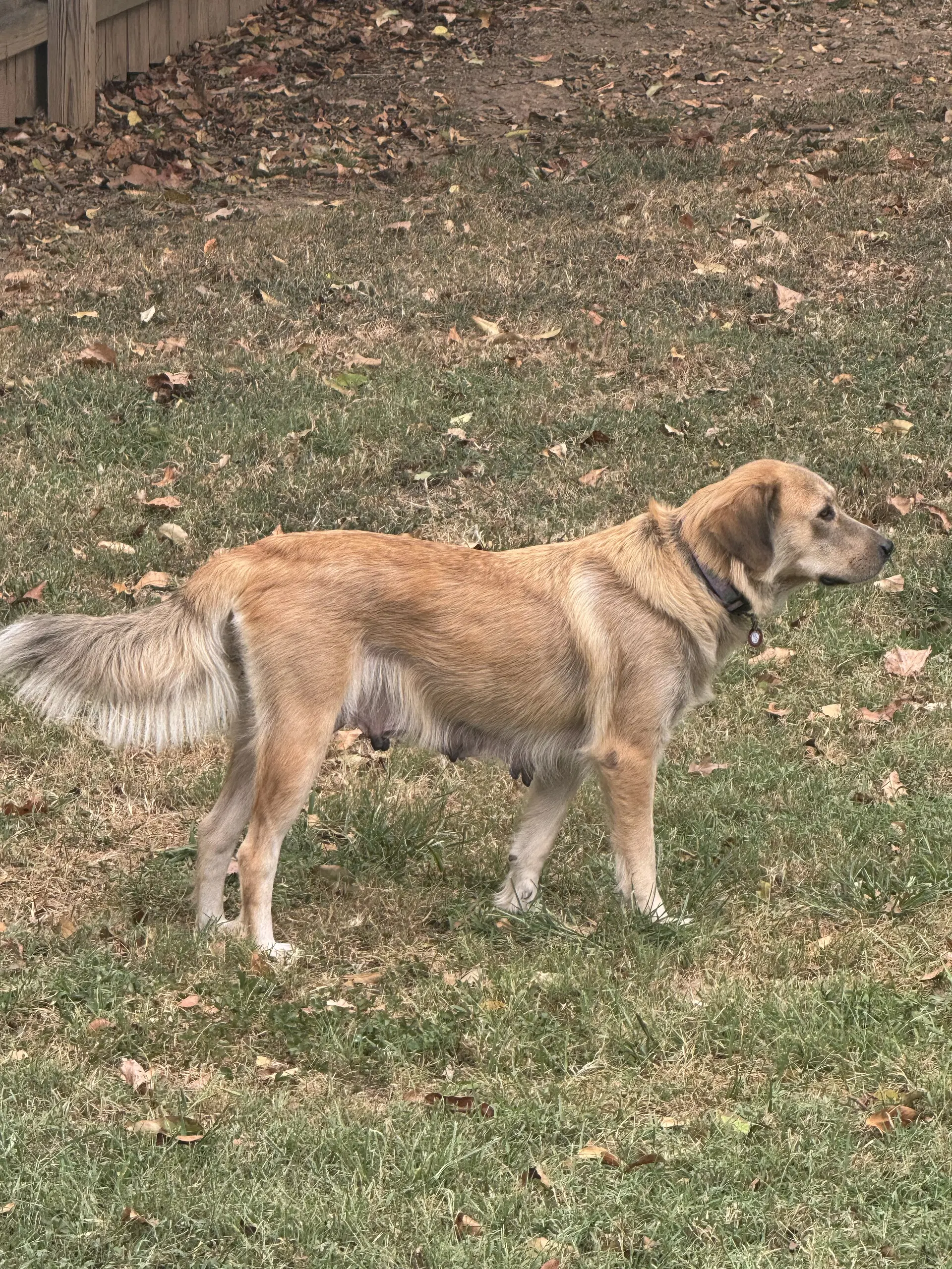 Emily image 3