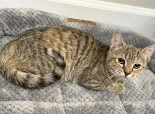 Matilda image 2