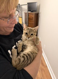 Matilda, a female cat up for adoption