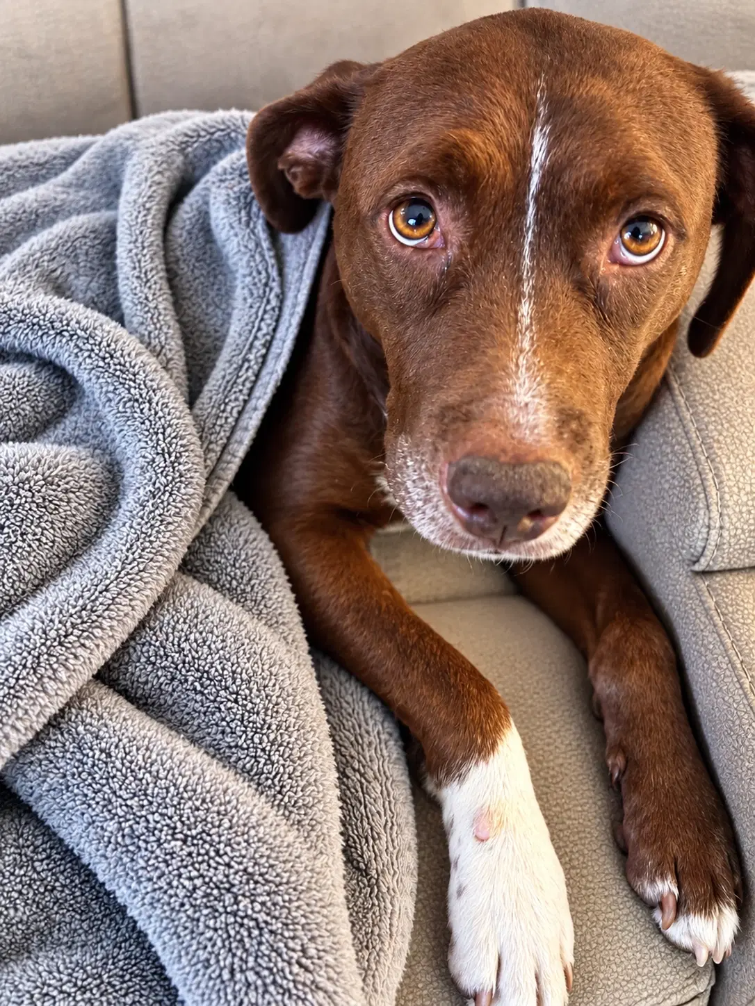 Coco image 2