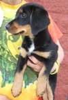 Gunther