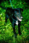 Thelma