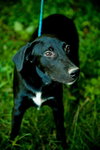 Thelma