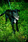 Thelma