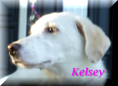 Kelsey