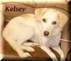 Kelsey