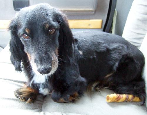 Millie