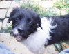 Lilly Belle