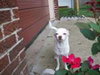 Riley