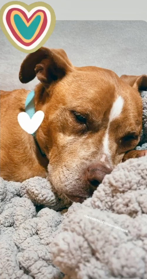 Ellie