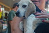 Thelma Lou