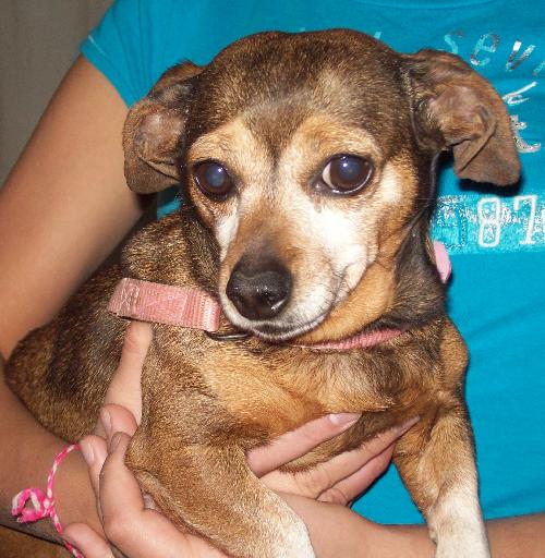 Tinkerbell