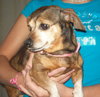 Tinkerbell