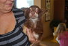 Hershey
