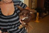 Hershey