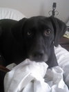 Lilly