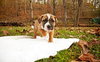 Baxter