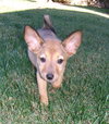 Maggie